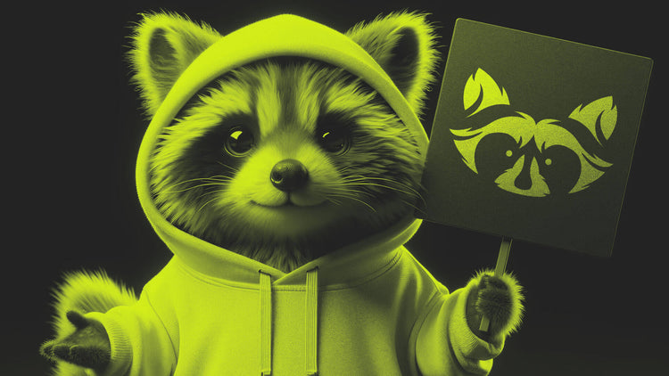 Raccoon Collection