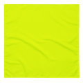 Bandana | Neon Lime